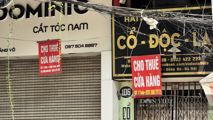 Những tấm biển "cho thuê nhà", "cho thuê cửa hàng" xuất hiện dày đặc trên phố Giảng Võ. Ảnh: Anh Văn