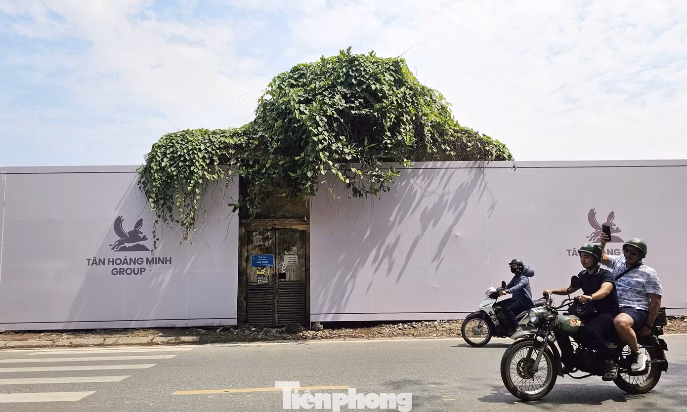 Tân Hoàng Minh được thành lập vào năm 1993, được biết đến là chủ đầu tư nhiều dự án bất động sản hạng sang trên "đất vàng" Hà Nội. Năm 2022, ông Đỗ Anh Dũng bị bắt do liên quan đến vụ án thao túng trái phiếu xảy ra tại Tân Hoàng Minh. Từ đó, hoạt động đầu tư xây dựng của Tân Hoàng Minh chững lại. Sau khi khắc phục toàn bộ thiệt hại, ông Dũng tái xuất thương trường vào năm ngoái.
