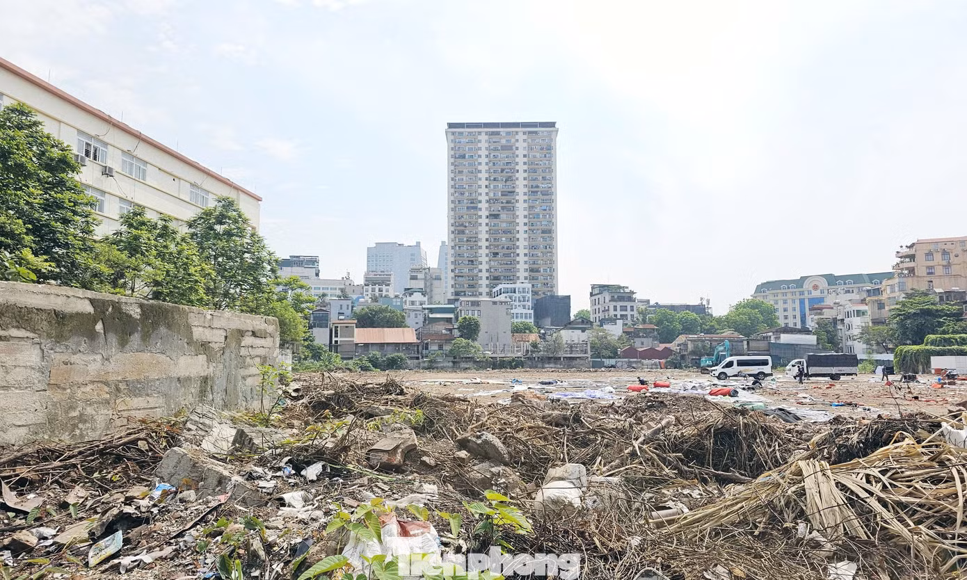 Với Tân Hoàng Minh, đây là dự án bất động sản thứ hai được công ty triển khai tại Hà Nội sau khi Chủ tịch Đỗ Anh Dũng trở lại. Hồi tháng 3 năm ngoái, chủ đầu tư này xây dựng dự án căn hộ trên khu đất rộng 2,5 ha tại Ngọc Hồi.