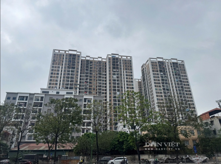 Thị trường bước vào giai đoạn “lọc dòng tiền”, ưu tiên giá trị thực và nhu cầu ở thật. Ảnh: Phương Thảo