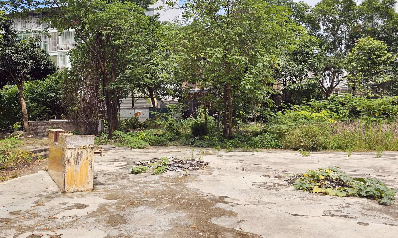 Quyết định cũng nêu rõ các quy định về chế tài xử lý đối với trường hợp chậm đưa đất vào sử dụng theo kế hoạch. Theo đó, nếu dự án không được đưa vào sử dụng trong 12 tháng liên tục từ khi bàn giao thực địa hoặc chậm tiến độ quá 24 tháng, chủ đầu tư có thể xem xét gia hạn thêm tối đa 24 tháng. Trong giai đoạn này, doanh nghiệp phải nộp bổ sung khoản tiền tương ứng với mức tiền sử dụng đất hoặc thuê đất cho thời gian chậm trễ. Trường hợp hết thời gian gia hạn mà đất vẫn chưa được đưa vào sử dụng, Nhà nước sẽ thực hiện thu hồi đất mà không bồi thường về đất, tài sản gắn liền cũng như các chi phí đầu tư liên quan.
