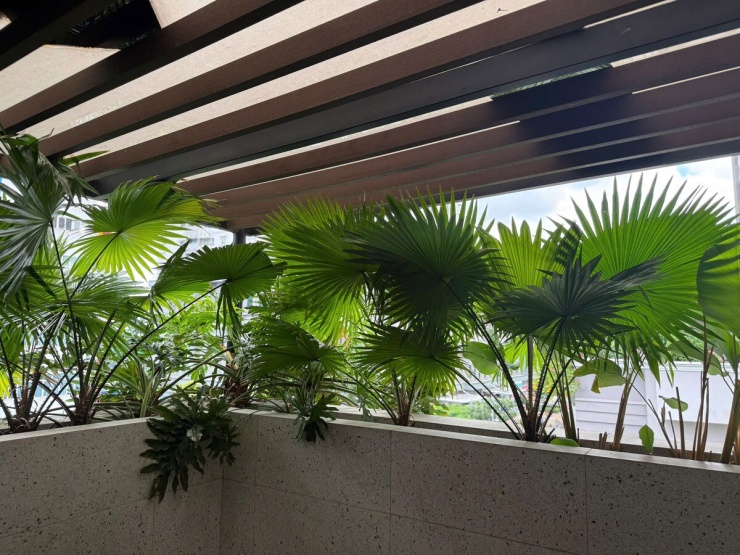 Biệt thự 1.000 m2 'phủ cây xanh mọi ngóc ngách' của Vân Trang - 7
