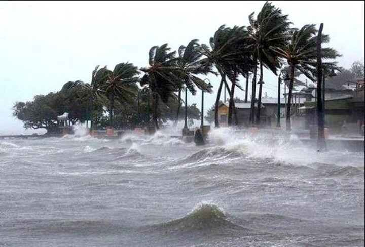 Bão số 1 Maysak giật cấp 11 trên khu vực ven biển Quảng Ninh, biển động rất mạnh - 1