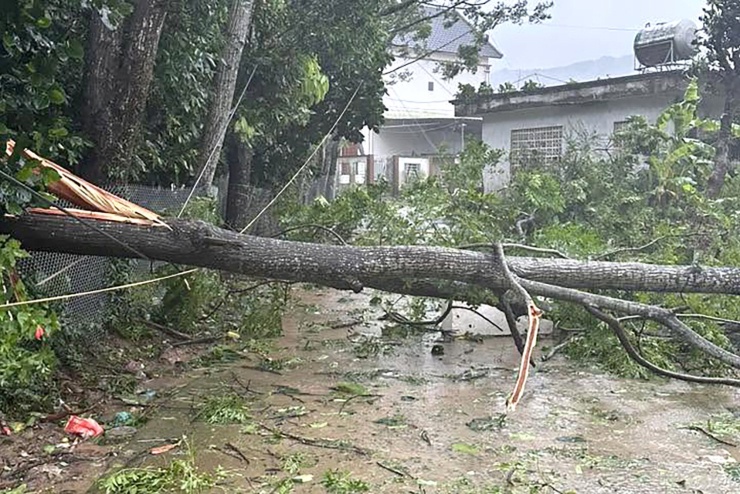 Bão số 1 quần thảo gây thiệt hại ở Móng Cái. Ảnh: Nguyễn Hậu
