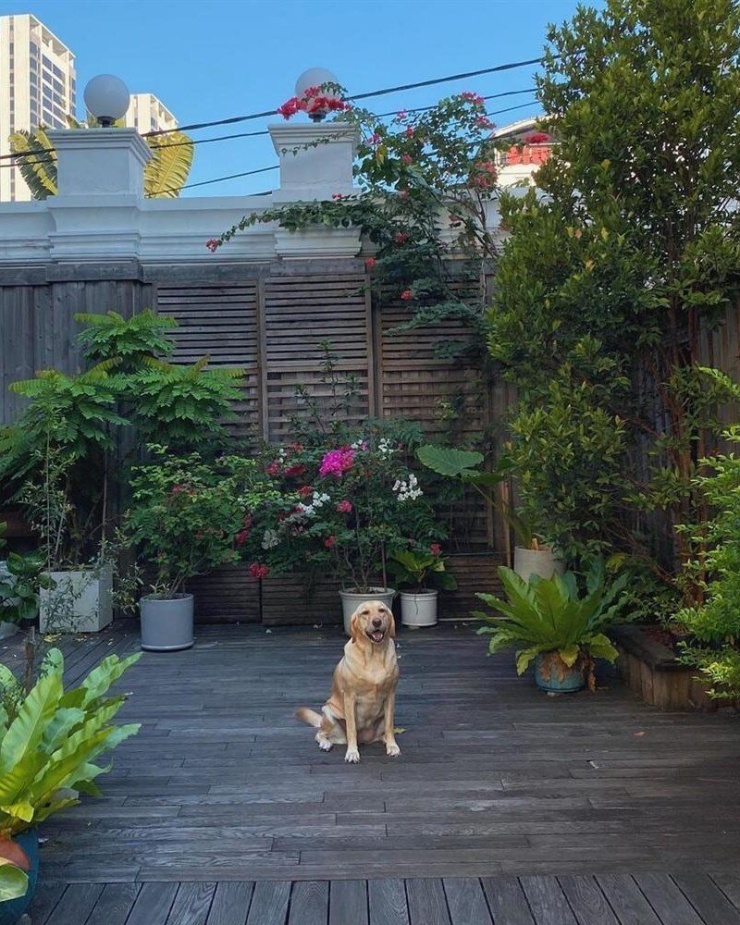 Cuộc sống viên mãn của Tăng Thanh Hà sau 13 năm vắng bóng màn ảnh để tập trung làm 'dâu hào môn' - 23
