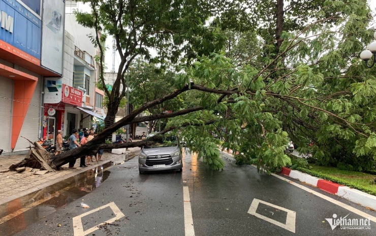 Hiện trường cây xanh bật gốc, đổ đè xe ô tô trên đường Nguyễn Tất Thành. Ảnh: Q.H