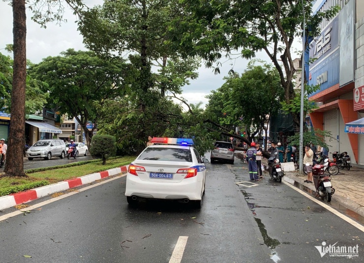 Lực lượng chức năng phân luồng giao thông qua khu vực cây ngã đổ. Ảnh: Q.H