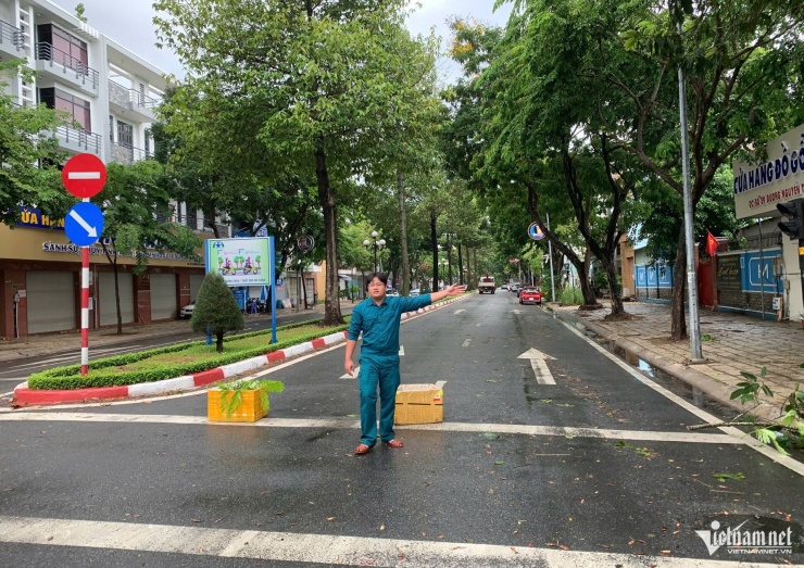 Mưa gió quật ngã nhiều cây xanh, đè trúng ô tô ở TPHCM - 6