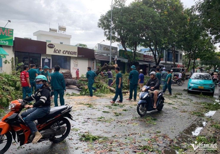 Lực lượng dân quân tự vệ xử lý cây xanh ngã đổ trên đường Điện Biên Phủ. Đến khoảng 13h cùng ngày, hiện trường cây xanh ngã đè ô tô vẫn đang được xử lý. Ảnh: Q.H