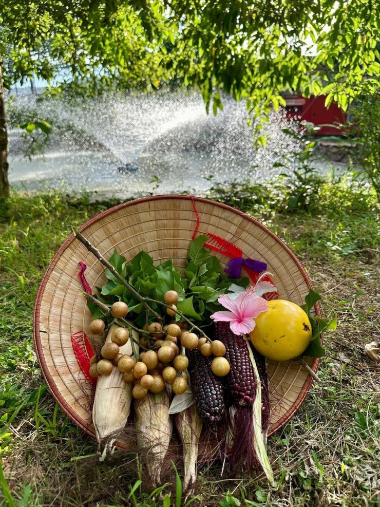 Cuối tuần gần đây, gia đình Trọng Tấn thu hoạch được quất hồng bì, chanh leo và đào.