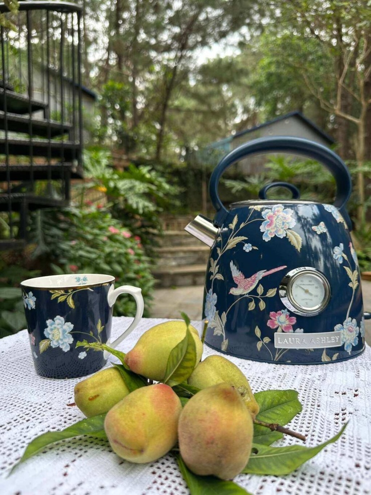 Đào mỏ quạ cũng đang trong mùa thu hoạch. Mỗi lần đến vườn, bà xã Trọng Tấn có sở thích xếp đặt quả chín cùng vài nhành hoa và ấm trà quen thuộc để cùng chồng tận hưởng buổi sáng bình yên và lưu lại những khoảnh khắc hòa mình vào thiên nhiên.