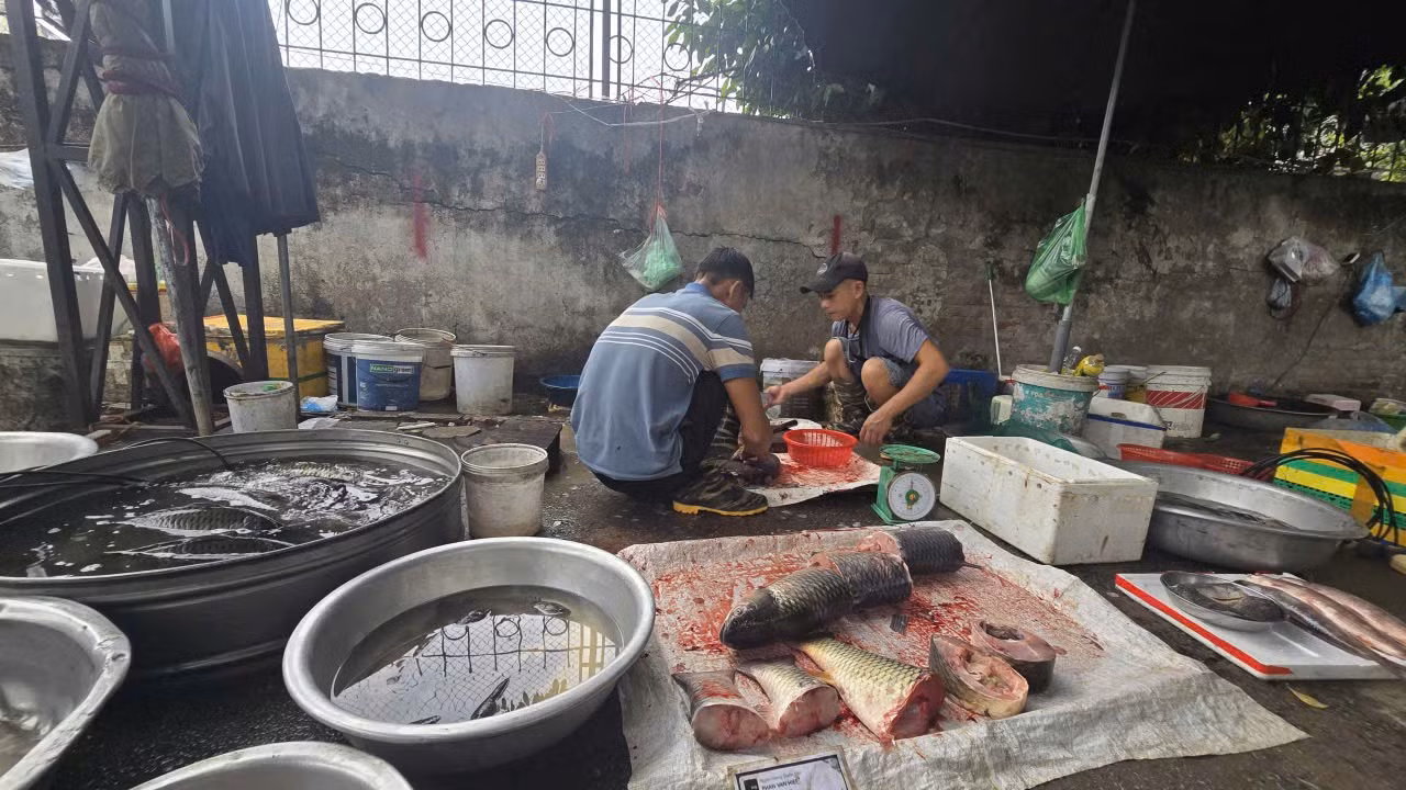 Tại đây, các hoạt động buôn bán được tổ chức công khai, đặc biệt là một số sạp kinh doanh thực phẩm tươi sống hoạt động xả thải trực tiếp, gây ảnh hưởng nghiêm trọng đến công tác đảm bảo vệ sinh môi trường khu vực.