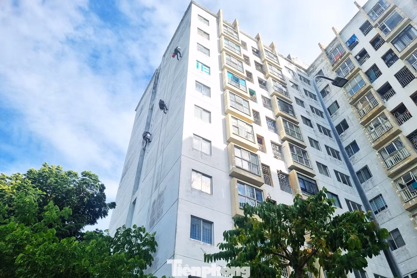 'Người nhện' treo mình mưu sinh giữa chảo lửa Đà Nẵng - 5
