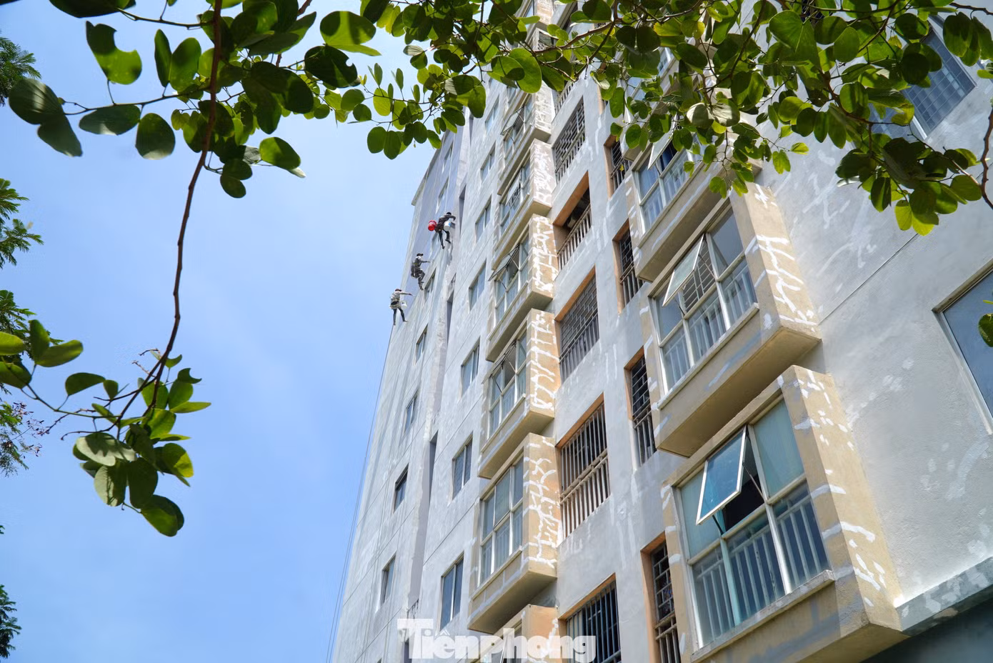 'Người nhện' treo mình mưu sinh giữa chảo lửa Đà Nẵng - 3
