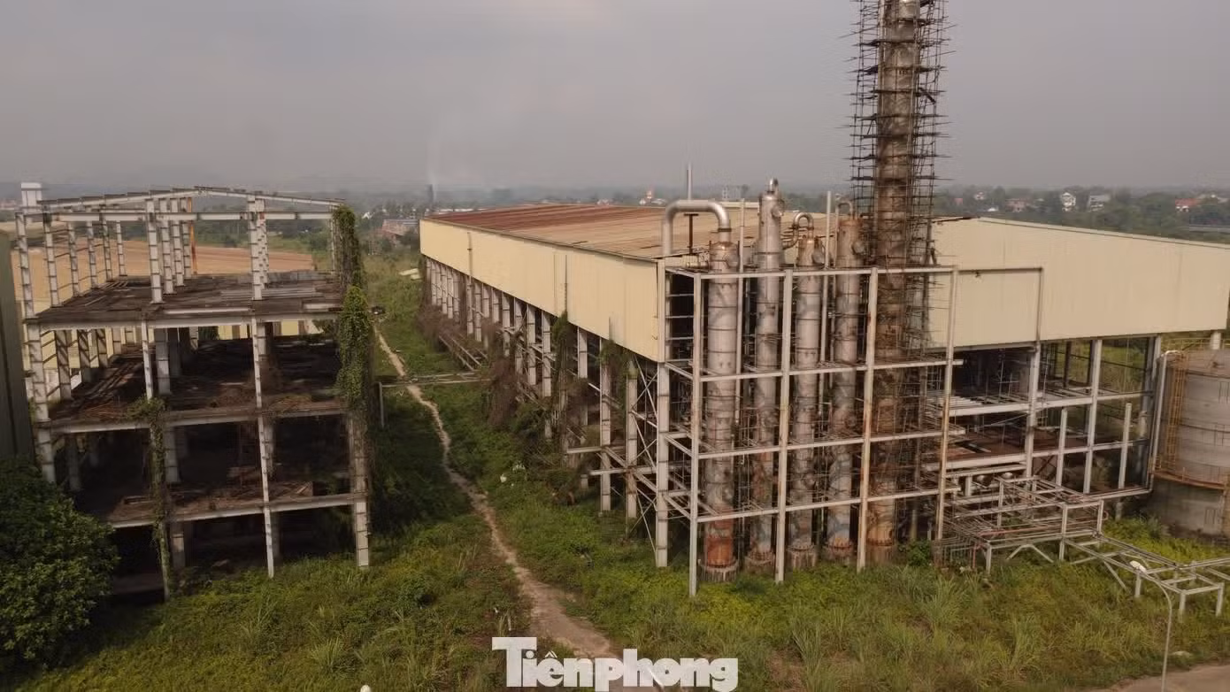Nhà máy ethanol Phú Thọ vẫn nằm chờ hồi sinh.