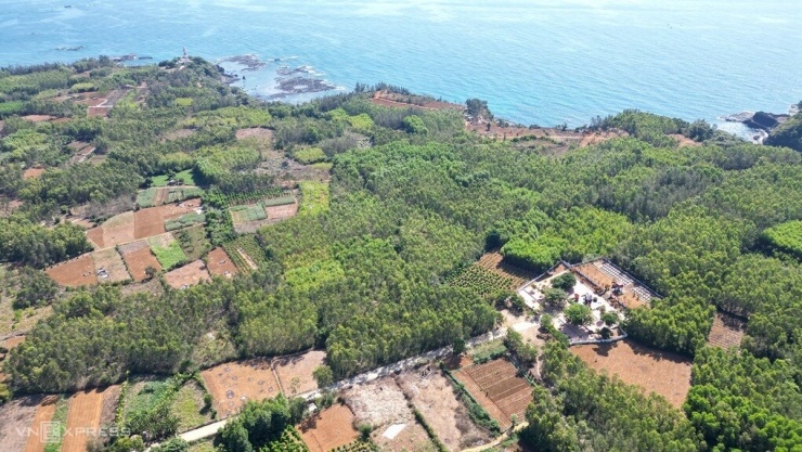 Địa đạo Đám Toái (phải) ở trung tâm bán đảo Ba Làng An, cách hải đăng khoảng 500 m. Ảnh: Phạm Linh