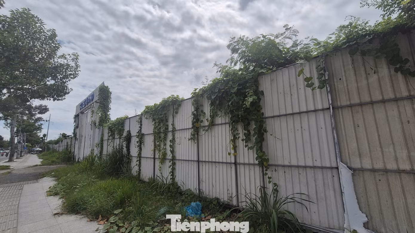 Theo giới thiệu của chủ đầu tư, dự án có quy mô 12.500 m², chia làm hai khu A và B, với tổng cộng 87 căn nhà phố thiết kế 5 tầng. Các căn có diện tích từ 100–130 m², diện tích sàn lên tới 570 m².