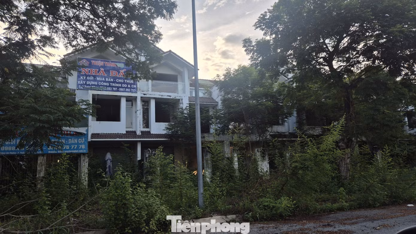 Điển hình là Khu đô thị Sunflower City rộng khoảng 150 ha, triển khai từ năm 2007 với sự tham gia của HUD và các đơn vị phát triển. Dù một số phân khu như Eco Sun (7,9 ha) từng được mở bán, bàn giao sổ đỏ cho cư dân từ năm 2018 nhưng đến nay phần lớn diện tích vẫn bị bỏ hoang. Nhiều căn biệt thự, nhà liền kề không người ở, xuống cấp, xung quanh dự án là những ruộng sắn xanh tốt.