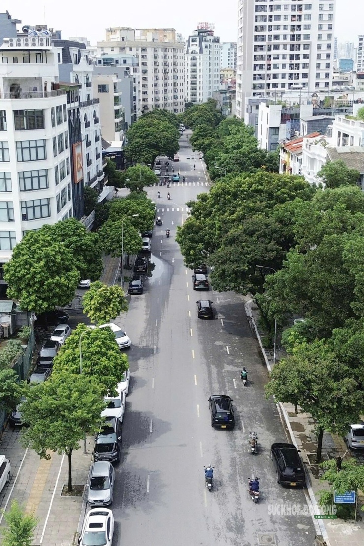 Phố Thành Thái rợp bóng cây, tiếp giáp Công viên Cầu Giấy. Ảnh: T.Anh