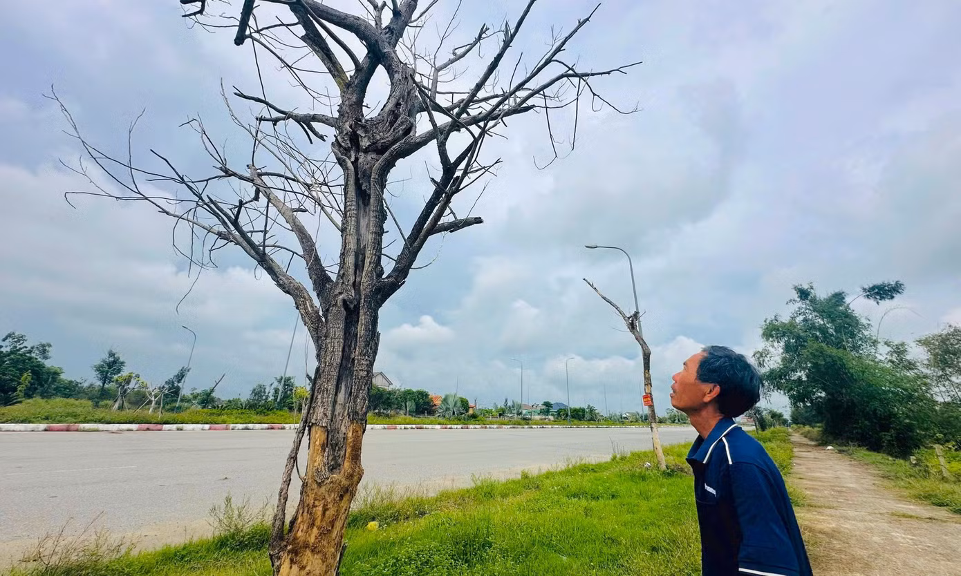 Cả hai dự án do Ban Quản lý Cụm công nghiệp huyện Lộc Hà (cũ) làm chủ đầu tư. Đơn vị thi công là Công ty Xây dựng Tây Nam Bộ. Sau khi thực hiện sắp xếp đơn vị hành chính, cả hai dự án được chuyển giao cho Ban Quản lý dự án Đầu tư xây dựng công trình Dân dụng và Hạ tầng khu vực tỉnh Hà Tĩnh quản lý.