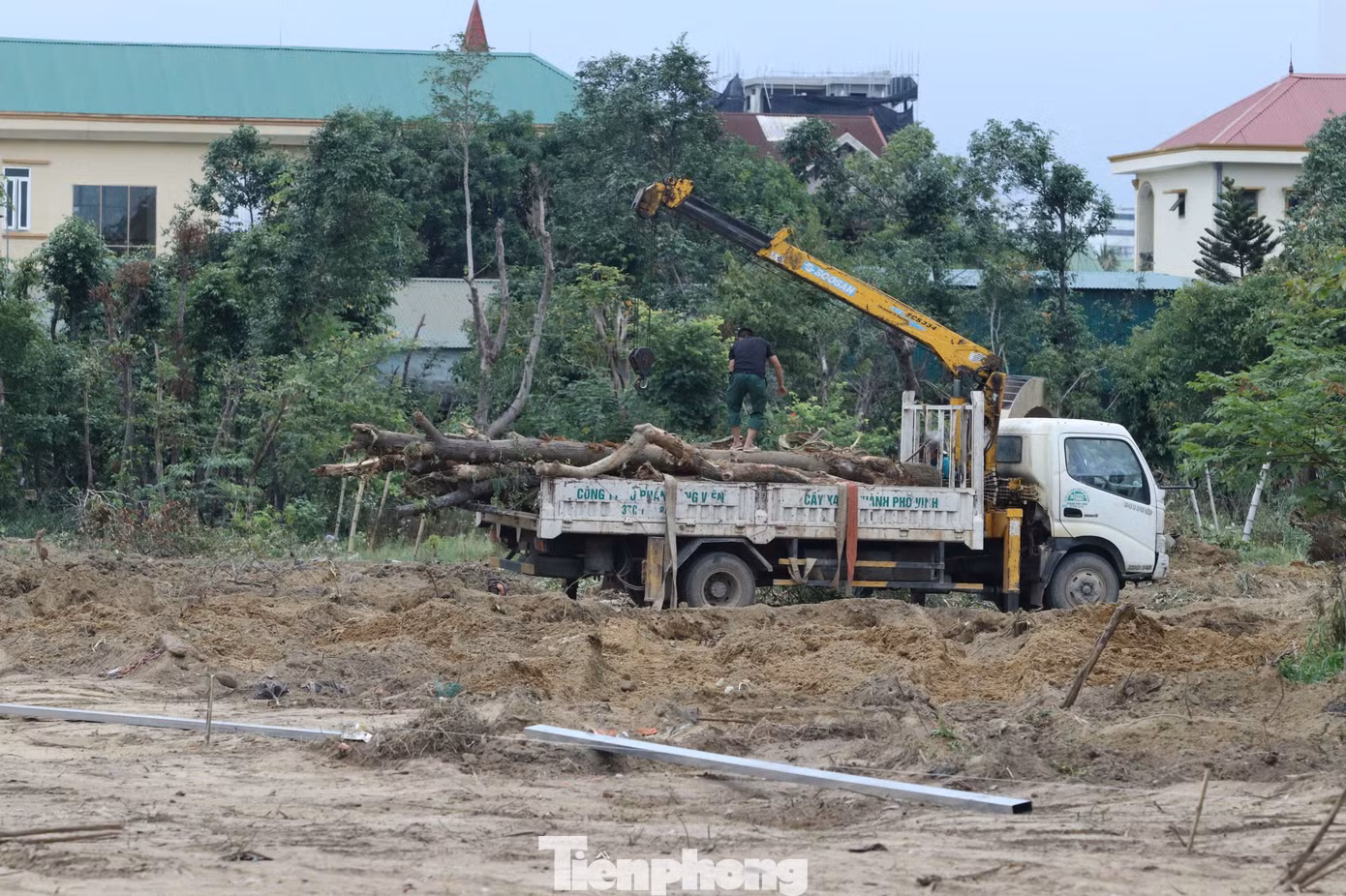 Đơn vị cây xanh di chuyển toàn bộ cây bên trong đi đến nơi khác nhường chỗ cho đơn vị chức năng chuẩn bị thực hiện dự án.