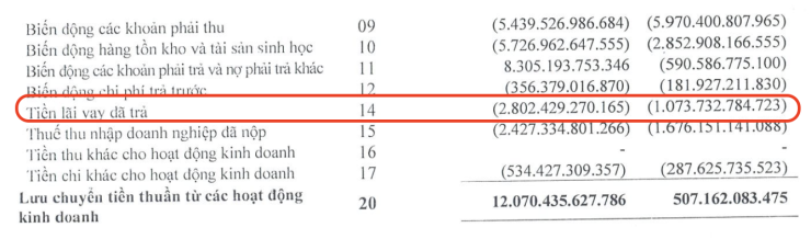 BCTC hợp nhất quý 2/2026 do Tập đoàn Hòa Phát công bố.