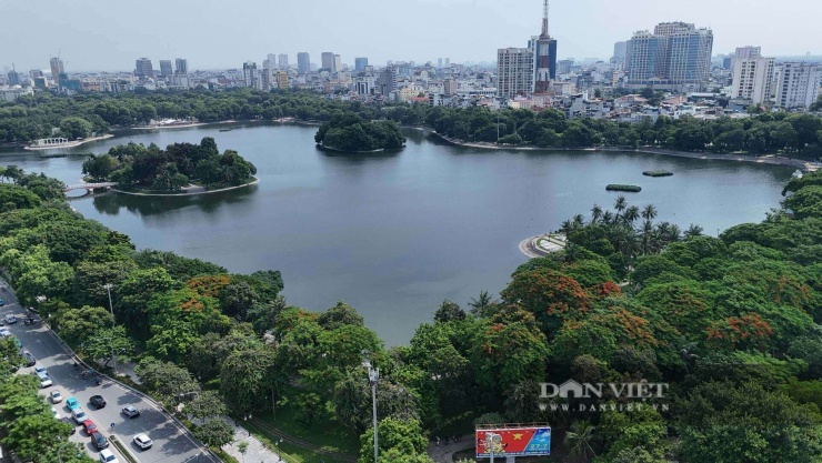 Vị trí gần Công viên Thống Nhất cũng tạo ra một điểm đặc biệt khác giữa khu vực có mật độ xây dựng cao, khu đất này nằm cạnh một không gian xanh lớn của thành phố.