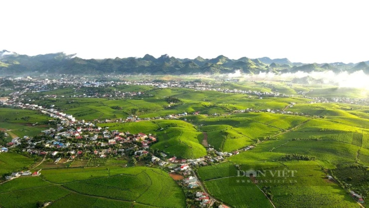 Một góc tại cao nguyên Mộc Châu. Ảnh: Thành Đạo.