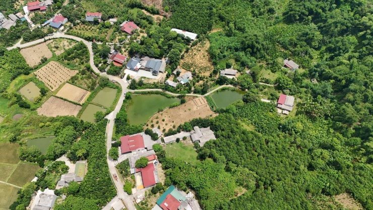 Nhiều chuyên gia nhận định đất trang trại, đồi rừng sau cơn sốt đã trở về giá trị sử dụng thay vì kỳ vọng tăng giá. Ảnh: Môi giới bất động sản khu vực Phú Thọ