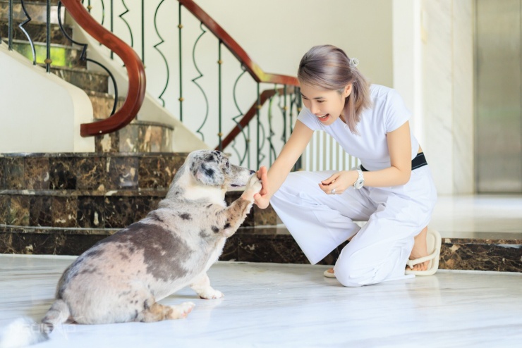 Những lúc rảnh rỗi, chị em Thu Hằng sẽ dành nhiều thời gian để chơi với Muối, chú chó đã gắn bó với gia đình từ nhiều năm nay.