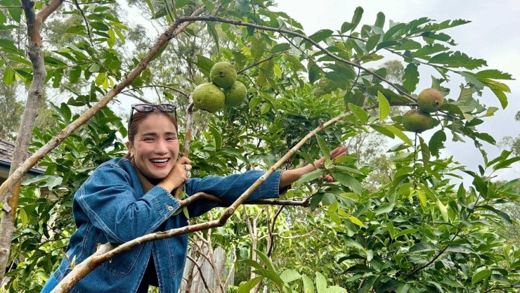 Cát Tường khoe cây ổi trong vườn nhà.
