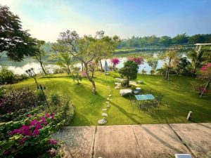 Cao Thái Sơn tốn 7 triệu tiền nước mỗi tháng tưới khu vườn quanh biệt thự