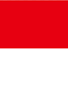 Trực tiếp bóng chuyền nữ Việt Nam - Indonesia: Màn ngược dòng hoàn tất (SEA V.Cup) (Kết thúc) - 1