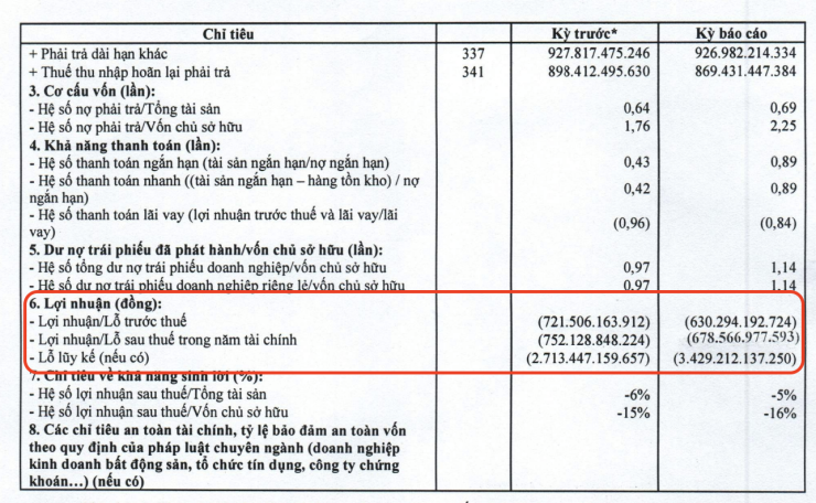 Báo cáo tài chính năm 2025 của Công ty CP Bông Sen.