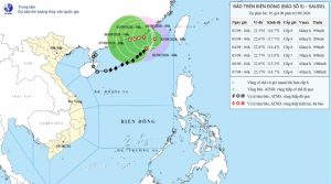 Bão số 5 Saudel di chuyển ‘kỳ dị’, đi lòng vòng trên biển nhiều ngày