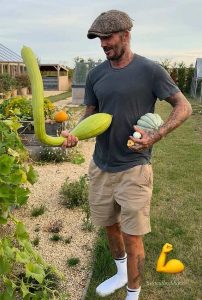 David Beckham khoe bí ‘độc lạ’ thu hoạch trong biệt thự