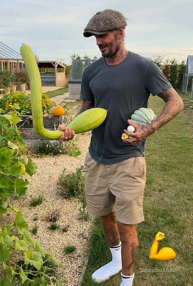 David Beckham thu hoạch bí trong vườn. Ảnh: Instagram Victoria Beckham