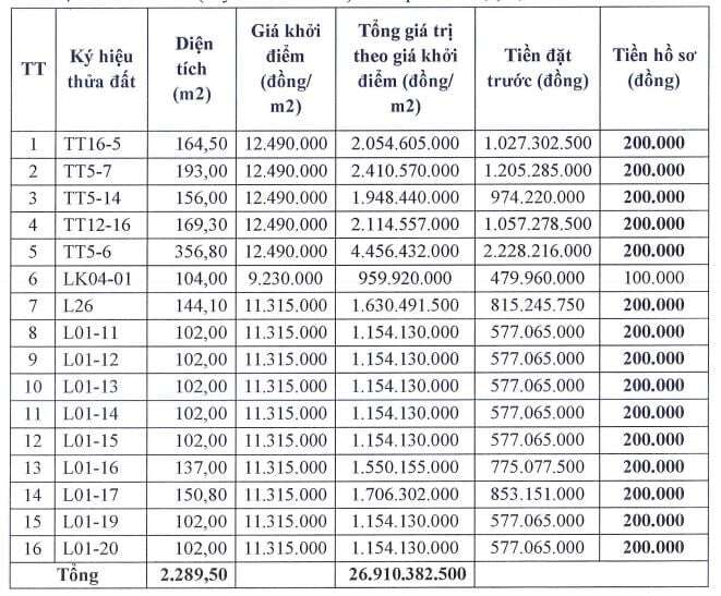 Thông tin 16 thửa đất đấu giá tại xã Hát Môn. Ảnh: Công ty Đấu giá hợp danh Lạc Việt