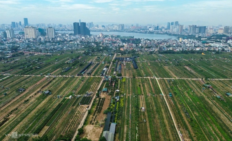 Đất trồng trọt ngoài đê sông Hồng, nhìn từ phía sông về Hồ Tây. Ảnh: Phạm Chiểu