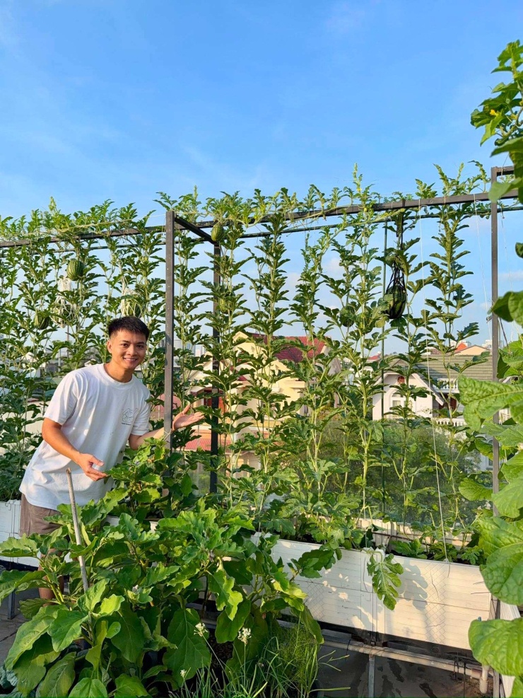 Khu vườn sân thượng được Lê Minh Quốc và bạn đời Trương Ngọc Huy làm từ năm 2023, sau khi chuyển về ngôi nhà hiện tại ở TP Thủ Đức. Quốc dành phần mái nhiều nắng để trồng rau, dưa và các loại cây ăn trái phục vụ bữa ăn gia đình.