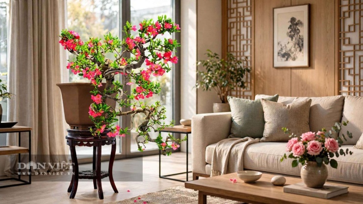 Đây chính là linh hồn phong thủy của bộ tứ.