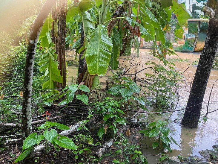 Mưa lớn tiếp tục gây thiệt hại cho các địa phương. Ảnh: B.N