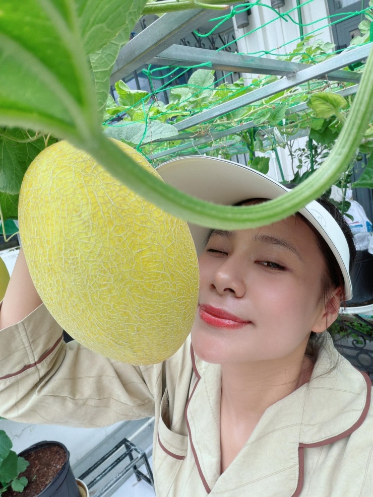 Hồ Bích Trâm thu hoạch dưa lưới 'ăn không xuể' ở ban công - 4
