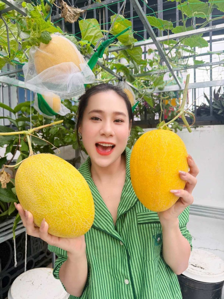 Hồ Bích Trâm thu hoạch dưa lưới 'ăn không xuể' ở ban công - 2