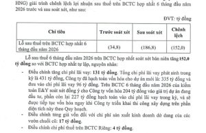 DN do ông Trần Bá Dương làm Chủ tịch: Lỗ lũy kế 13.200 tỷ, không còn tên Bầu Đức