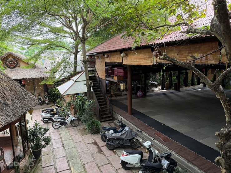 Nhà vườn gần 2.000 m2 của Johnny Trí Nguyễn ở TP HCM - 1