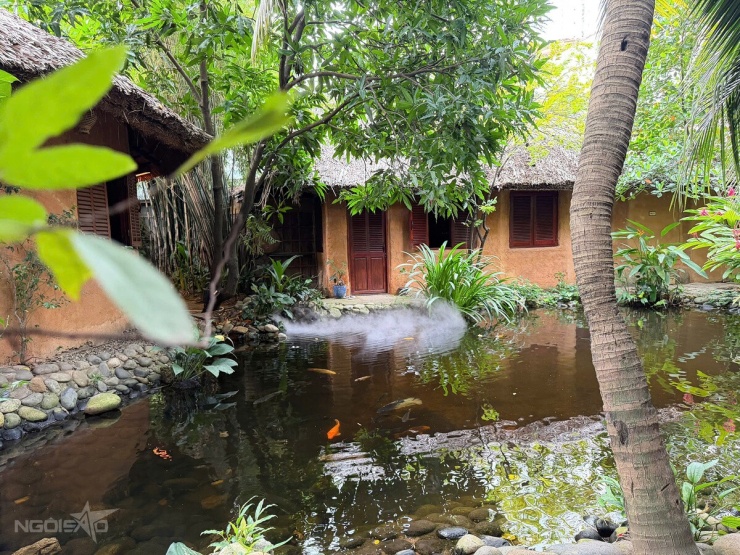 Nhà vườn gần 2.000 m2 của Johnny Trí Nguyễn ở TP HCM - 8