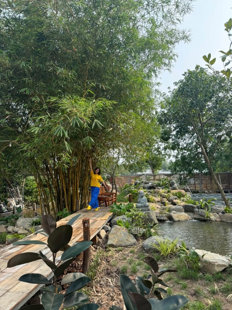 Vân Trang mở rộng khu sinh thái 50.000 m2 ở Đồng Tháp - 2