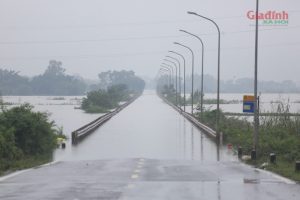 Sông Tích tràn bờ, dân ven đô Hà Nội chèo thuyền mua mì tôm, chăng lưới chắn rác trước nhà