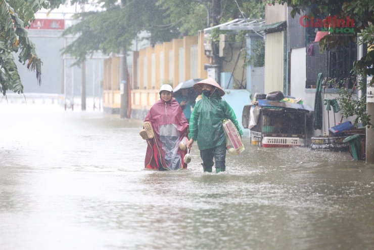 Sông Tích tràn bờ, dân ven đô Hà Nội chèo thuyền mua mì tôm, chăng lưới chắn rác trước nhà - 4
